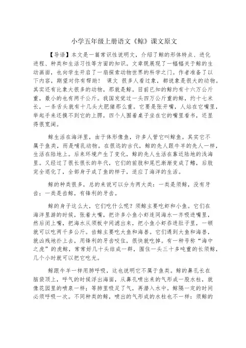 小学五年级上册语文《鲸》课文原文