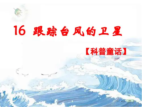 跟踪台风的卫星教学课件.ppt