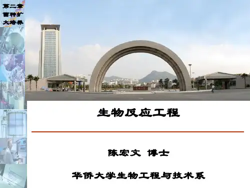 二章节菌种及其扩大培养4学时-PPT精选