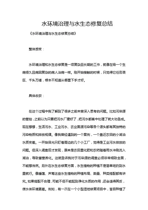 水环境治理与水生态修复总结
