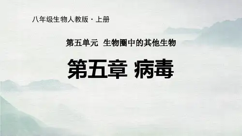 《病毒》优质课件