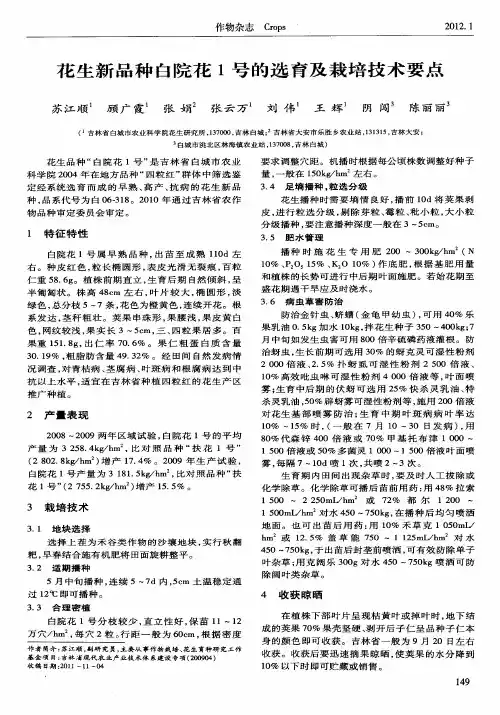 花生新品种白院花1号的选育及栽培技术要点