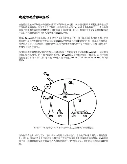 细胞周期分析重要知识.