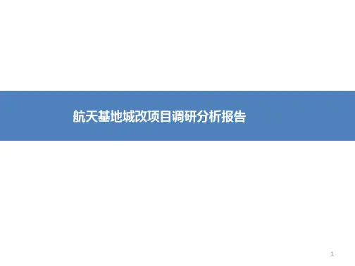 项目投资分析报告PPT演示课件