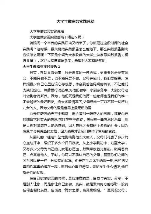 大学生做家务实践总结（精选5篇）