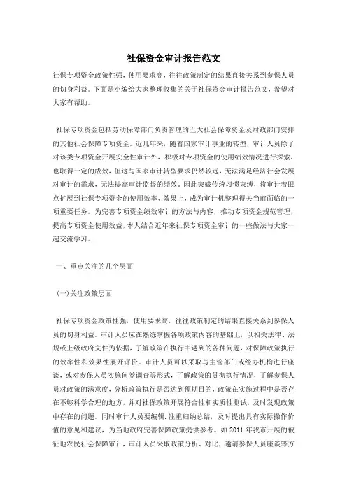 社保资金审计报告范文