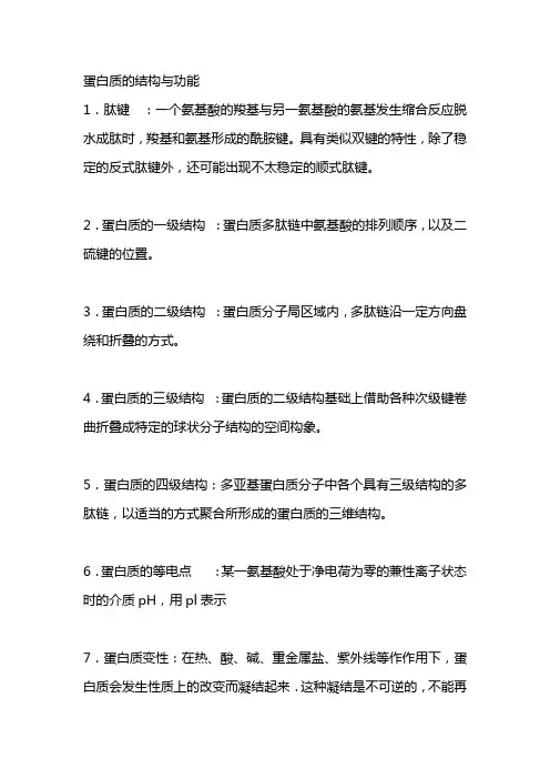 蛋白质的结构与功能