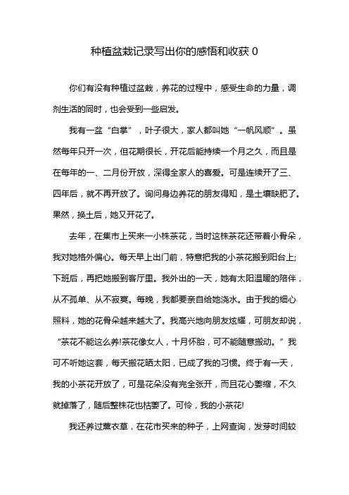种植盆栽记录写出你的感悟和收获0