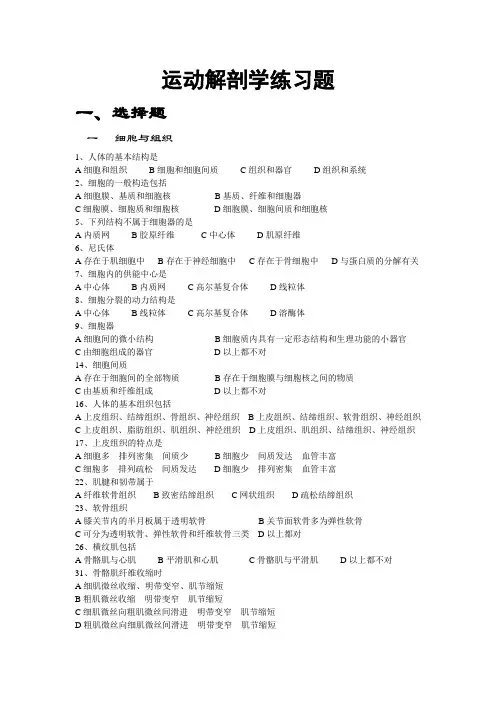 运动解剖学练习题