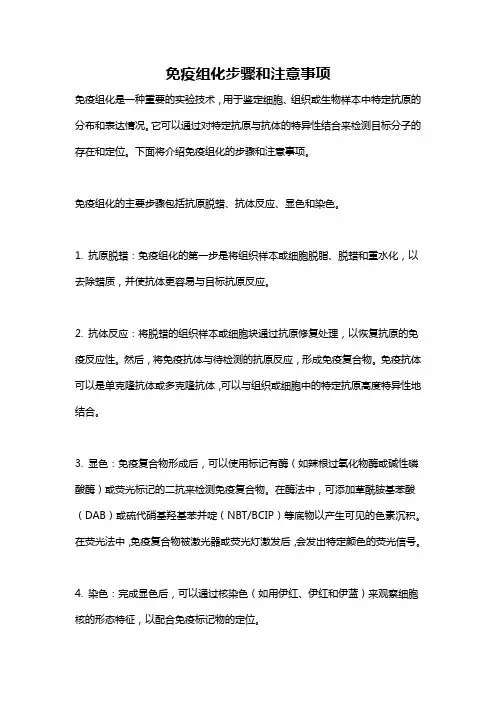 免疫组化步骤和注意事项