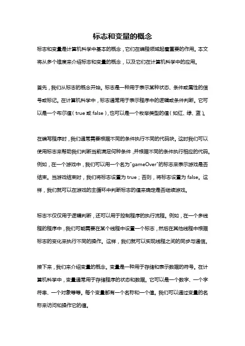 标志和变量的概念