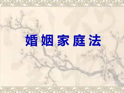 婚姻法讲义