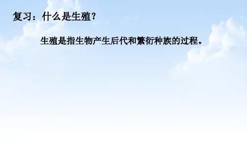 北师大版生物八上20.1《遗传和变异现象》 课件(共42张PPT)