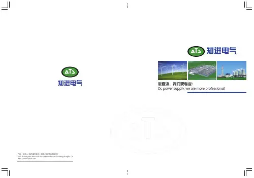 直流双电源切换装置选型说明手册