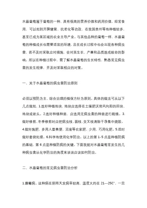 水晶葡萄常见的病虫害及最佳防治时期及注意事项