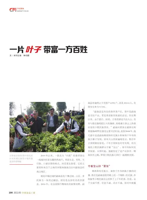 一片叶子带富一方百姓