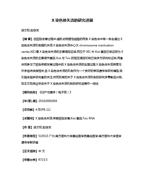 X染色体失活的研究进展