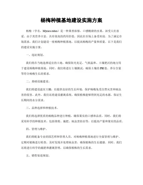 杨梅种植基地建设实施方案