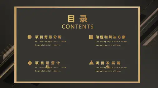 黑金商业策划方案计划书PPT