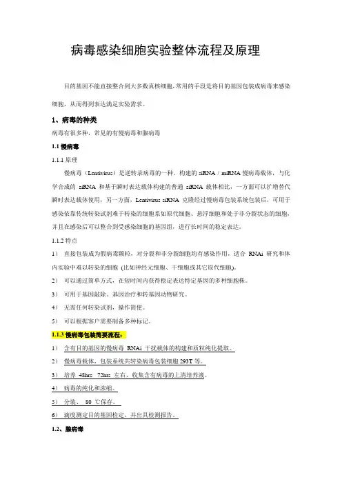 病毒包装实验整体流程及原理