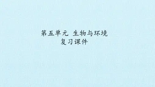六年级上册科学课件-第五单元 生物与环境 复习课件-青岛版(六年制)(共22张PPT)