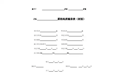 钻孔编录表格(全)