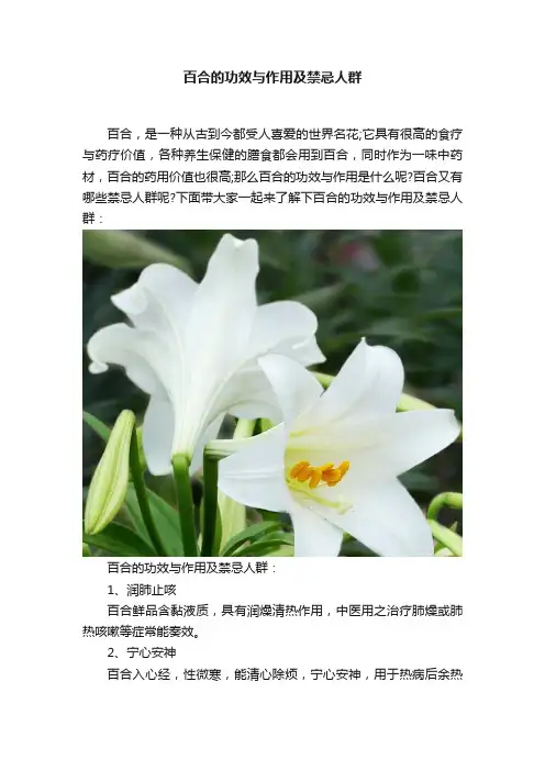 百合的功效与作用及禁忌人群