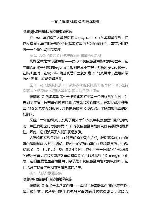一文了解胱抑素C的临床应用