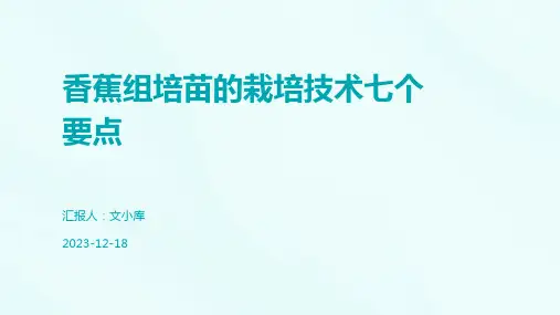 香蕉组培苗的栽培技术七个要点