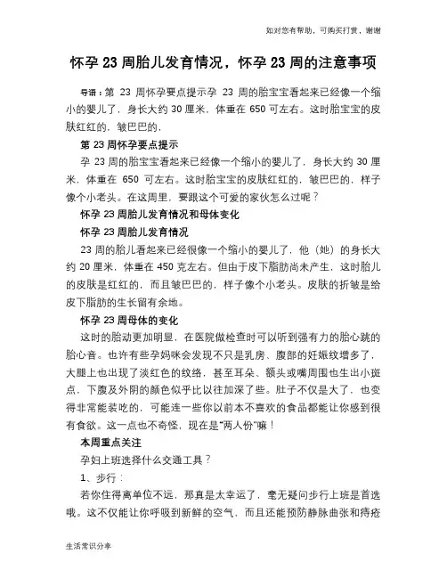 怀孕23周胎儿发育情况,怀孕23周的注意事项