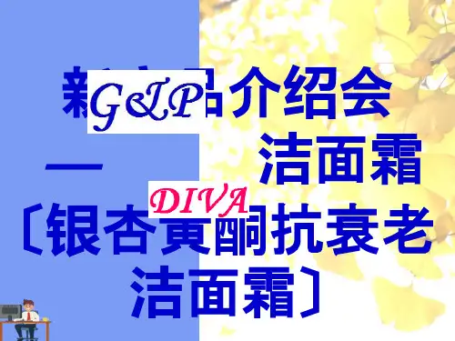 某公司新产品介绍会.完美版PPT