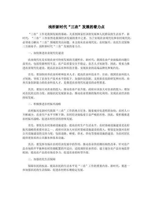 浅析新时代“三农”发展的着力点