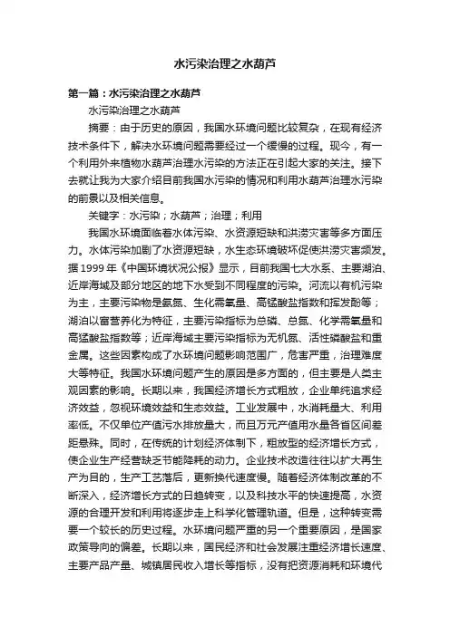 水污染治理之水葫芦