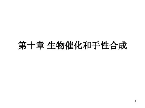 第十章生物催化的手性化学-课件