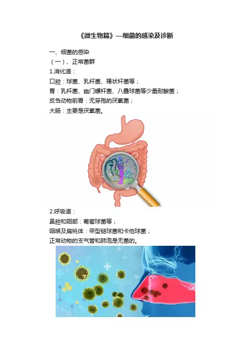 《微生物篇》—细菌的感染及诊断