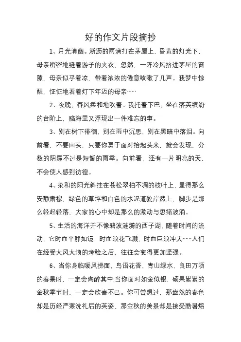 好的作文片段摘抄