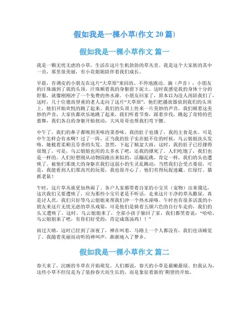 假如我是一棵小草(作文20篇)