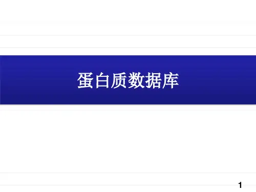 蛋白质数据库