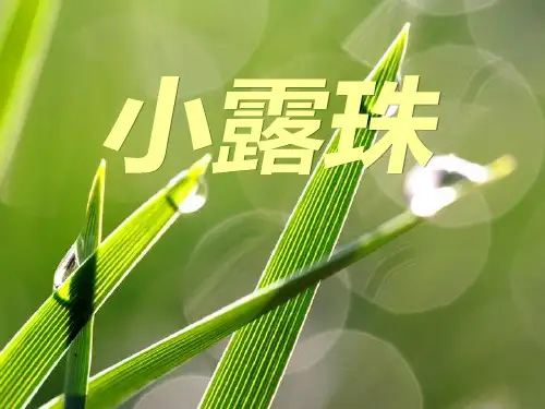 冀教版二年级语文下册《小露珠》PPT课件(2篇)