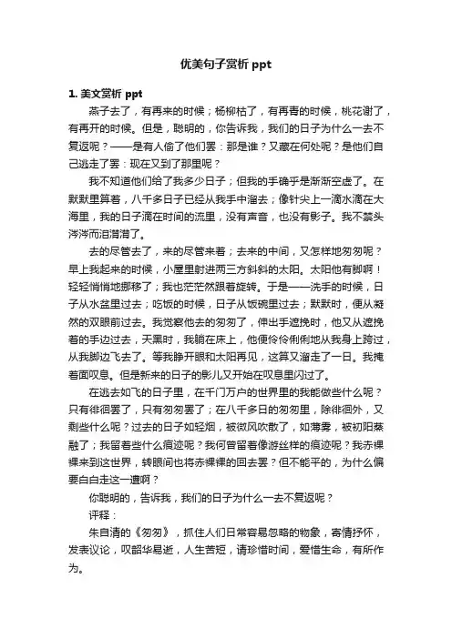 优美句子赏析ppt