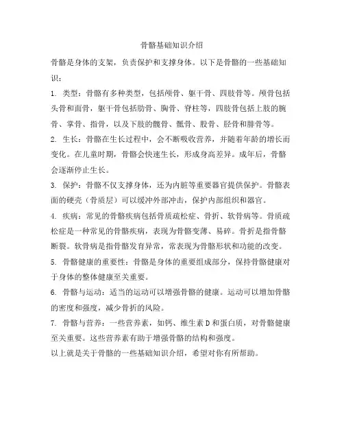 骨骼基础知识介绍