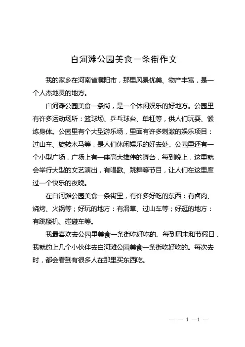 白河滩公园美食一条街作文