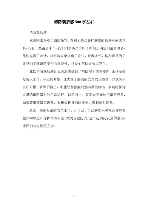 消防观后感300字左右