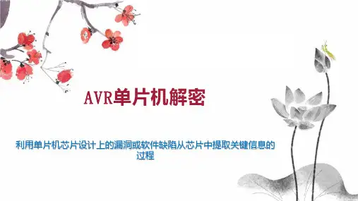 AVR单片机解密