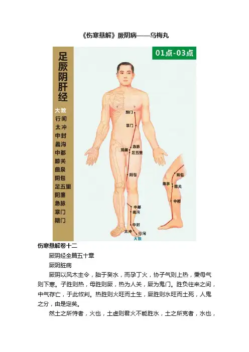 《伤寒悬解》厥阴病——乌梅丸