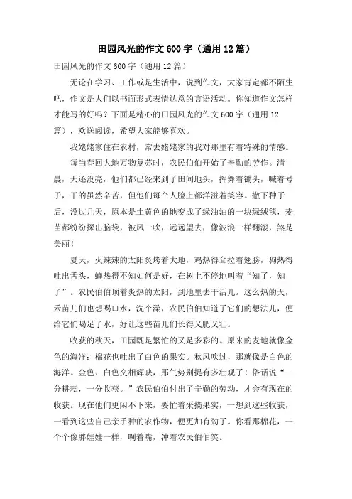 田园风光的作文600字（通用12篇）.doc