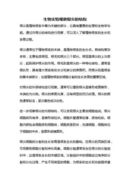 生物实验观察根尖的结构