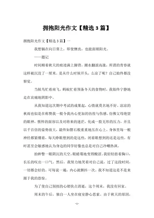 拥抱阳光作文【3篇】