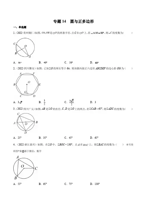 中考一轮复习 数学专题14 圆与正多边形(学生版)