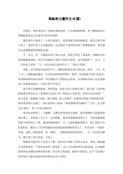 蚂蚁的力量作文(6篇)精选范文